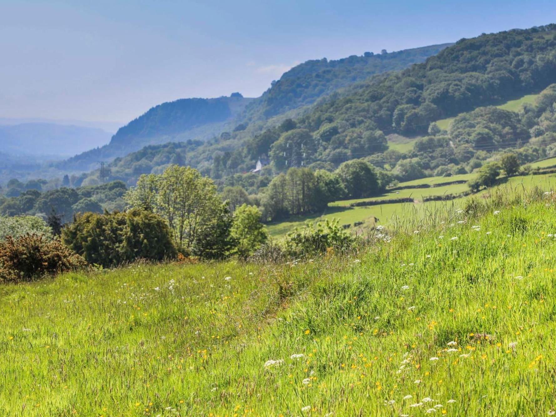 Villa Ty'N Y Cae Llanbedr-y-cennin Esterno foto